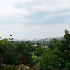 Arcadia Suites thumbnail 18