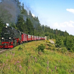 Ringhotel Weißer Hirsch - Bild 15