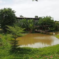Отель Baan Sikuuk Bed & Breakfast Таиланд, Банг-Красан - отзывы, цены и фото номеров - забронировать отель Baan Sikuuk Bed & Breakfast онлайн фото 26