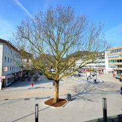 Hostel-Marburg-One - Bild 12