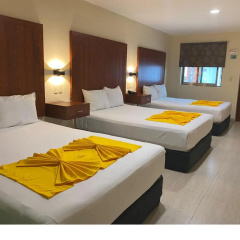 Terracaribe Hotel - In Cancun (Downtown Cancun) - Bild 7