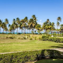 Bahia Beach Resort & Golf Club in Rio Grande, Puerto Rico from 915$, photos, reviews - zenhotels.com photo 5