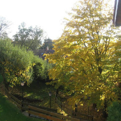 Hotel Landhaus Silbertanne - Bild 10