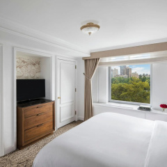 The Ritz-Carlton New York, Central Park thumbnail 6