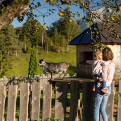 Roislerlehen - Bild 2