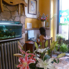 Hostal Esparteros - Bild 13