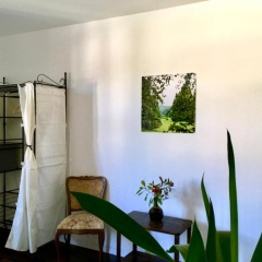 Maisonette Wohnung Südstadtvilla - Bild 5