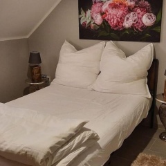 Niehler Hotel - Bild 5
