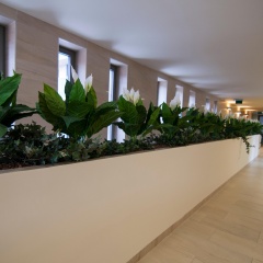 Corvin Center Suites - Bild 15