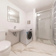 Lazenska N4 - Bild 9