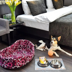 Hotel Ametyst - Bild 12