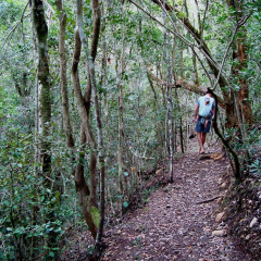 Woodlands Self Catering, Knysna thumbnail 8