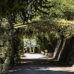 Alfabia Nou Agroturismo - Bild 7