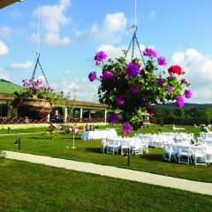 Riva's Club - Bild 1