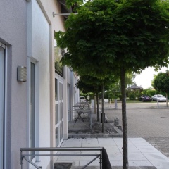 Airport Park Hotel MUC - Bild 9