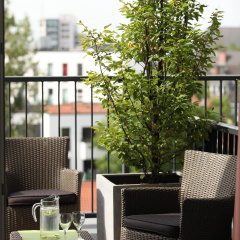 Lindner Hotel Hamburg Am Michel, part of JdV by Hyatt - Bild 27