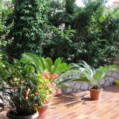 Guest House Lifestyle Holiday thumbnail 4
