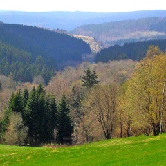 Blockhouse, Bad Sachsa - Bild 8