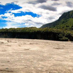 Te Hui House thumbnail 32
