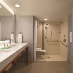 Hyatt Place Chicago/O'Hare Airport thumbnail 39