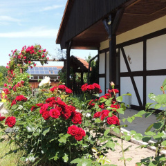 Ferienhaus Weinberg - Bild 11