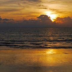 Fanari Khaolak Resort - Seafront Wing - Bild 17