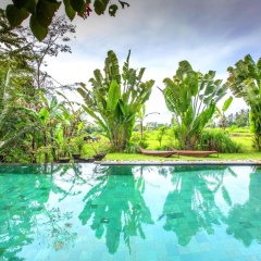 Villa Viola - Bild 3