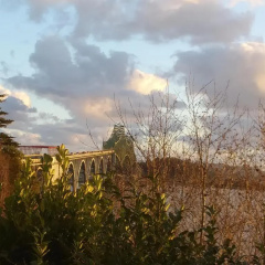Bay Bridge Motel thumbnail 9