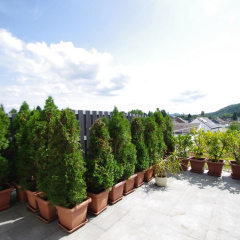 Luxury-Apartment Alexandra - Bild 13