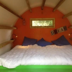 Veluwe camping De Pampel thumbnail 3