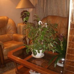 Hotel Saint Pierre - Bild 8