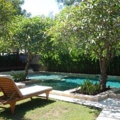Guava Garden - Bild 13