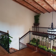 Finca Casa Maria - Bild 10