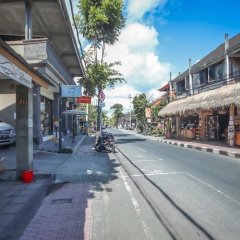 Satya House Ubud - Bild 1