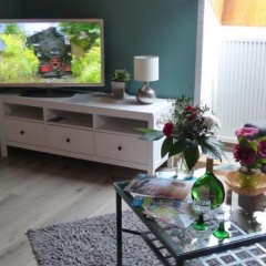 Haus Buena Vista - Bild 3
