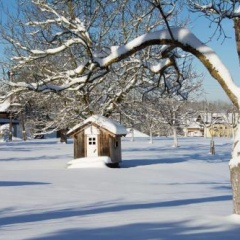 Ferienhaus Lenzenbauer - Bild 5