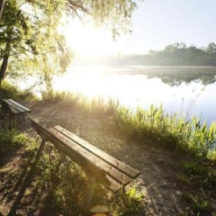 Mein Graml - Bild 7