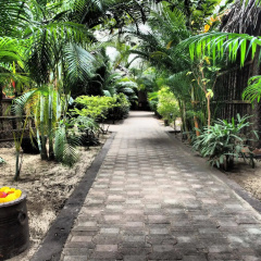 The Palm Trees Resort thumbnail 11