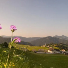 Guesthouse Macesen thumbnail 4