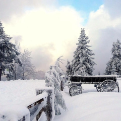 FeWo-Radau - Bild 6