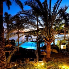 Alcudiamar Marina Residence Hotel - Bild 17