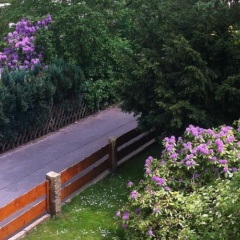 Haus Lotze - Bild 8