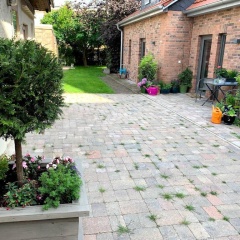 kleines Appartement am Schlossparkcenter - Bild 4