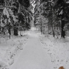 Haus Sonneck - Bild 8