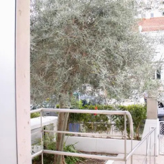 The Olive Tree House thumbnail 6