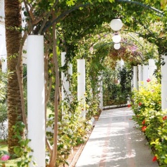 Hotel Cala Dor - Adults Only - Bild 19