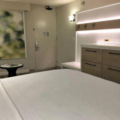 Wyndham Garden Lake Buena Vista – Disney Springs® Area thumbnail 19