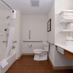 Hampton Inn & Suites by Hilton Lonoke thumbnail 7