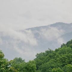 The Edelweiss Estate in Gatlinburg, United States of America from 498$, photos, reviews - zenhotels.com photo 24