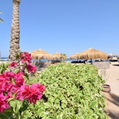 Sharm El Naga Resort and Diving Center - Bild 19